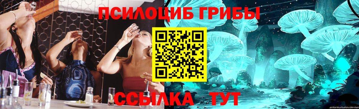 Котельники  Псилоцибиновые грибы Cubensis  Псилоцибиновые грибы ЛСД  Вход с VPN 
