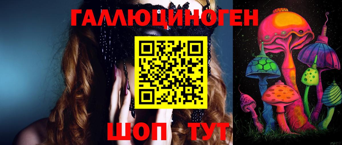 Псилоцибиновые грибы Psilocybe Котельники